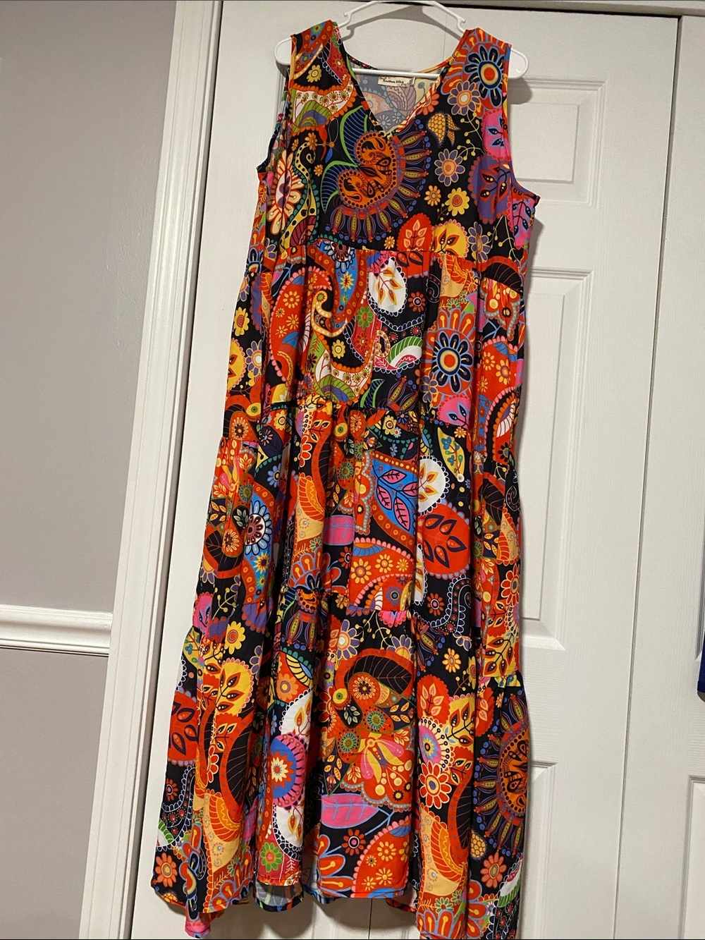 Sleeveless V-Neck Paisley Maxi Dress in Multicolor